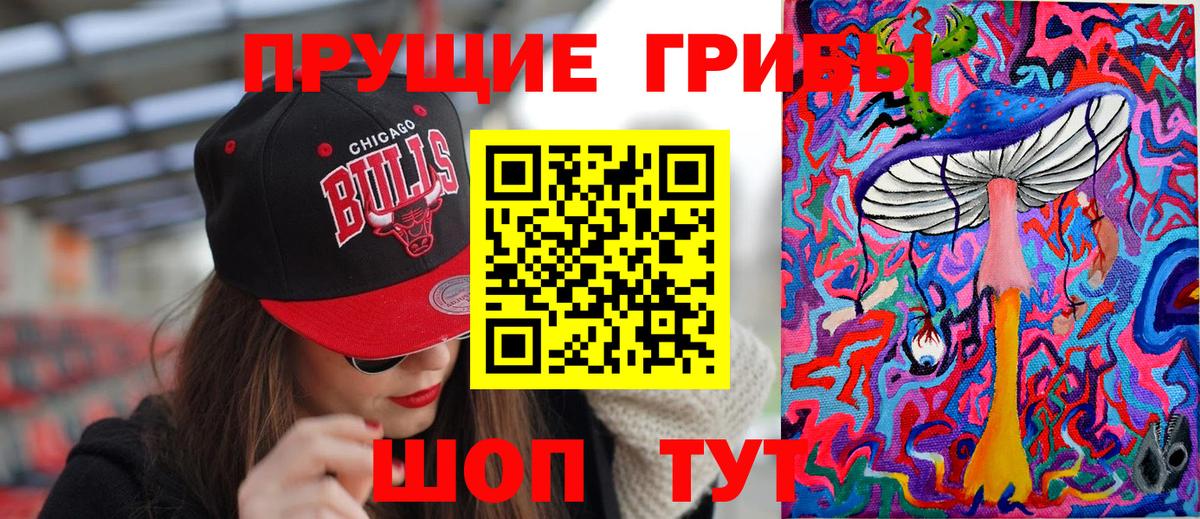 Псилоцибиновые грибы Psilocybe Великие Луки